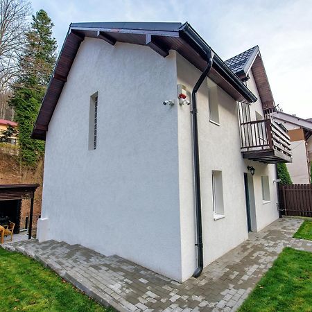 Vila Time Busteni Buşteni Exterior foto